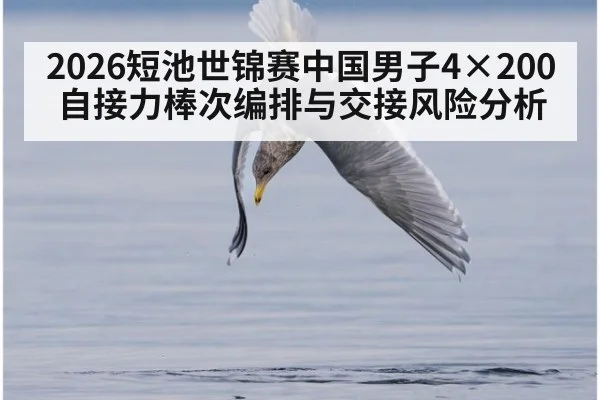2026短池世锦赛中国男子4×200自接力棒次编排与交接风险分析 | nine game